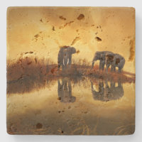 Eléphants asiatiques en Thaïlande sous un coucher