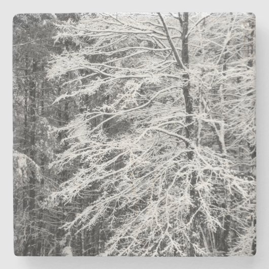 Dessous-de-verre En Pierre Érable En Neige (Devant)