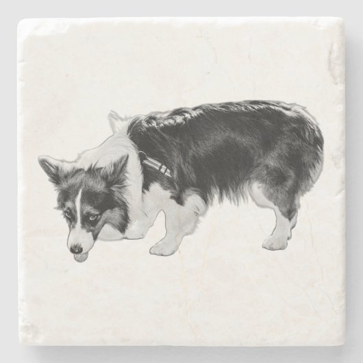 Dessous-de-verre En Pierre Essai de goût minuscule (Devant)