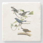 Dessous-de-verre En Pierre Étamine d'indigo par Audubon (Devant)