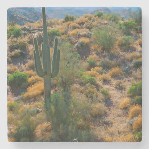 Dessous-de-verre En Pierre États-Unis, Arizona. Desert View