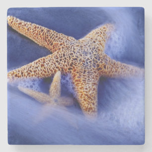 Dessous-de-verre En Pierre États-Unis, Caroline du Sud, Hilton Head Island. D