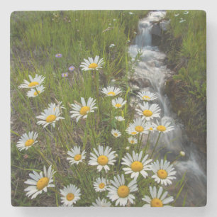 Dessous-de-verre En Pierre États-Unis, Colorado, Montagnes San Juan. Margueri