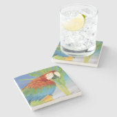 Dessous-de-verre En Pierre États-Unis, Hawaï. Perroquet (Côté)