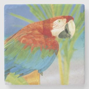 Dessous-de-verre En Pierre États-Unis, Hawaï. Perroquet