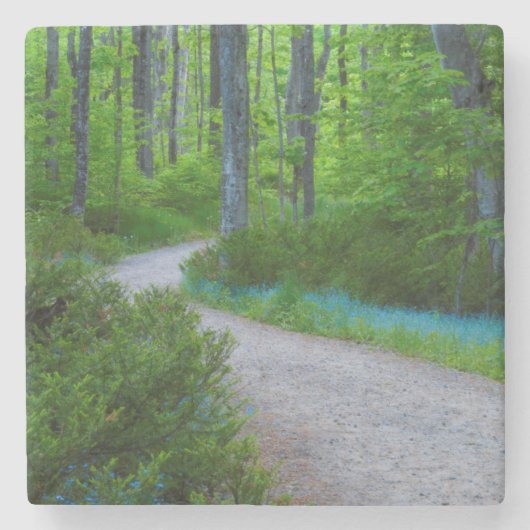 Dessous-de-verre En Pierre États-Unis, Michigan. Traverser Le Bois (Devant)