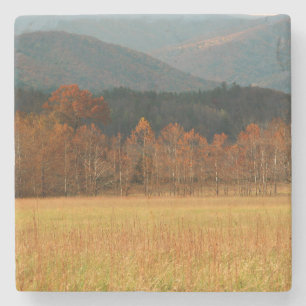 Dessous-de-verre En Pierre États-Unis, Tennessee. Cades Cove dans Smoky Mount
