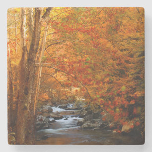 Dessous-de-verre En Pierre États-Unis, Tennessee. Rushing Mountain Creek 2