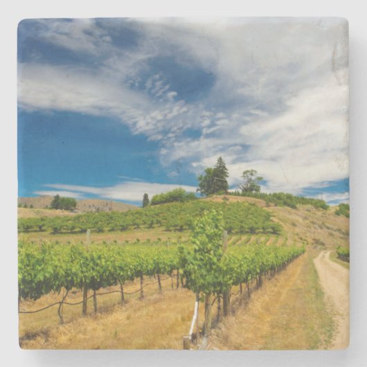 Dessous-de-verre En Pierre États-Unis, Washington, Lac Chelan. Vignoble 3 (Devant)