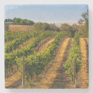 Dessous-de-verre En Pierre États-Unis, Washington oriental, vignobles Walla W