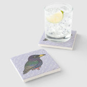 Dessous-de-verre En Pierre Étourneau d'Européen de Birdorable (Côté)