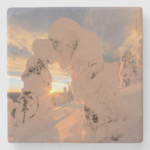 Dessous-de-verre En Pierre Fantômes de neige dans la chaîne Whitefish