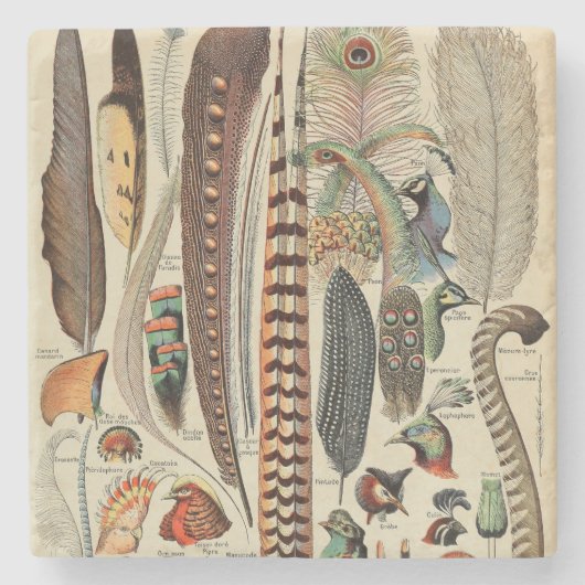 Dessous-de-verre En Pierre Feather Bird Wildlife Plumes d'antiquités (Devant)