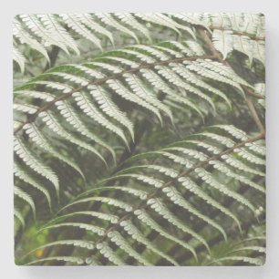 Dessous-de-verre En Pierre Fern Fronds II Dark Green Nature