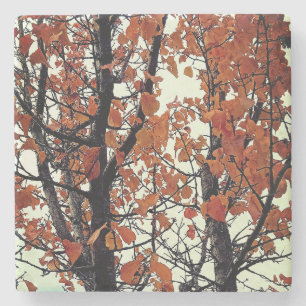 Dessous-de-verre En Pierre Feuille orange