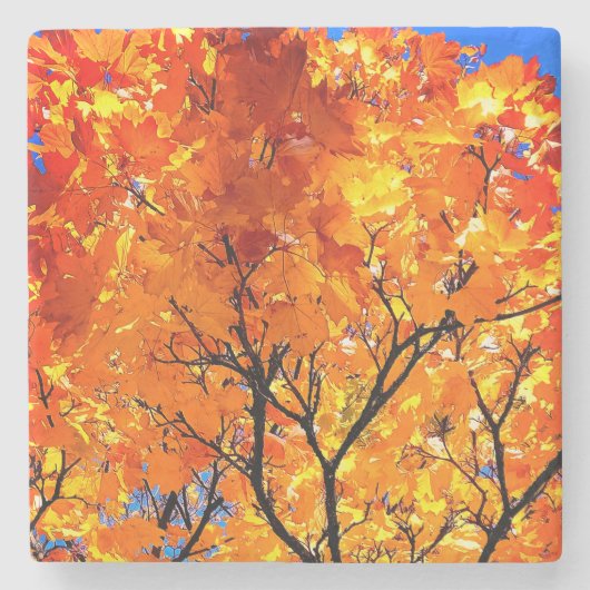 Dessous-de-verre En Pierre Feuille orange (Devant)