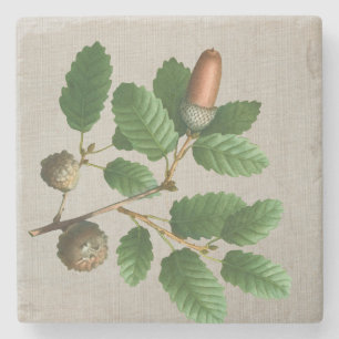 Dessous-de-verre En Pierre Feuilles de chêne Acorn