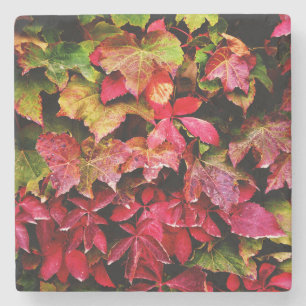 Dessous-de-verre En Pierre Feuilles Tombés Au Jardin En Automne