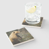 Dessous-de-verre En Pierre Fière Ours (Côté)