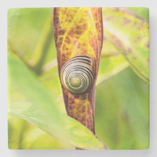 Dessous-de-verre En Pierre fixation calme (Devant)