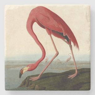 Dessous-de-verre En Pierre Flamant rose américain d'Audubon