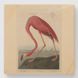 Dessous-de-verre En Pierre Flamant rose américain d'Audubon's Birds of Americ