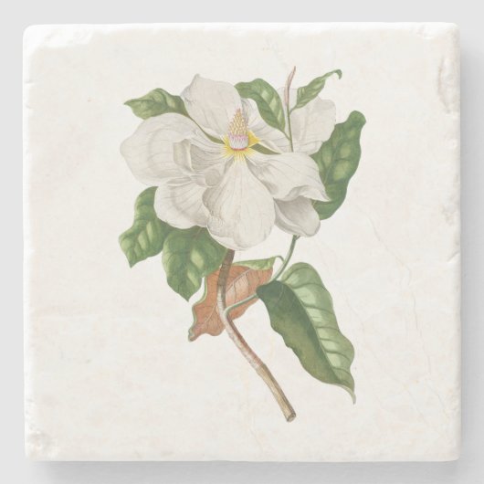 Dessous-de-verre En Pierre Fleur : A004 Magnolia - (Devant)