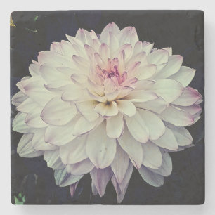 Dessous-de-verre En Pierre Fleur crème et rose