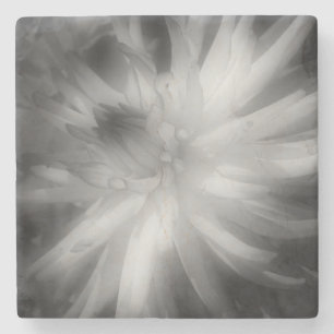Dessous-de-verre En Pierre Fleur Dahlia En Noir Et Blanc