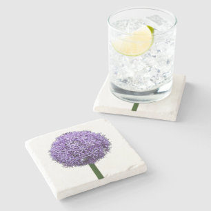Dessous-de-verre En Pierre Fleur d'Allium pourpre sur fond blanc