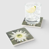 Dessous-de-verre En Pierre Fleur De Cactus De Nuit, Région De Karoo (Côté)