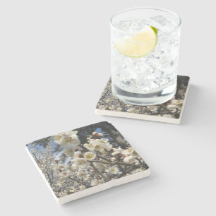 Dessous-de-verre En Pierre Fleur de cerisier blanc / Sakura / ク(桜)