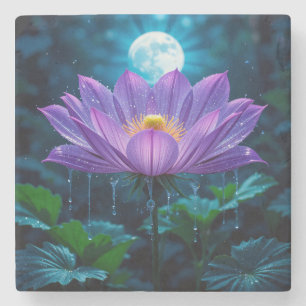 Dessous-de-verre En Pierre Fleur de lotus pourpre sous la lumière de la lune