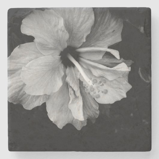 Dessous-de-verre En Pierre Fleur d'Hibiscus (Devant)