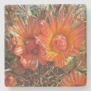Dessous-de-verre En Pierre Fleur Photo d'abeilles Bright Orange Cactus Blooms