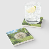 Dessous-de-verre En Pierre Fleur sauvage Goatsbeard (Côté)