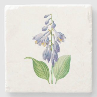 Dessous-de-verre En Pierre Fleurs : A012 Daylily -