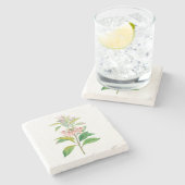 Dessous-de-verre En Pierre Fleurs : A013 Redvein Enkianthus - (Côté)