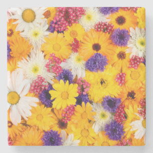 Dessous-de-verre En Pierre Fleurs colorées vives Motif de printemps