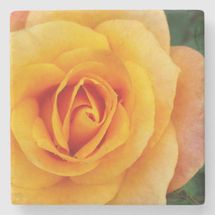 Dessous-de-verre En Pierre fleurs de rose jaune