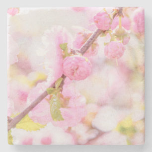 Dessous-de-verre En Pierre Fleurs de sakura roses - Fleur de cerisier japonai