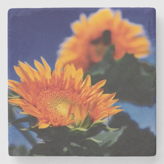 Dessous-de-verre En Pierre Fleurs de soleil (Devant)