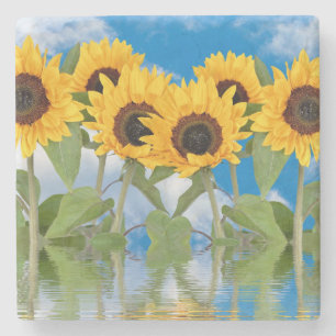 Dessous-de-verre En Pierre Fleurs de soleil