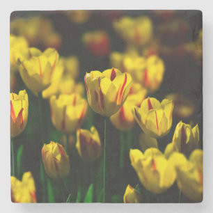 Dessous-de-verre En Pierre Fleurs de tulipe jaune
