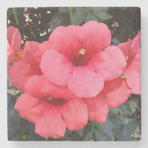 Dessous-de-verre En Pierre Fleurs roses Photo Dessous de verre en pierre de m