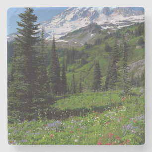 Dessous-de-verre En Pierre Fleurs sauvages chez le mont Rainier