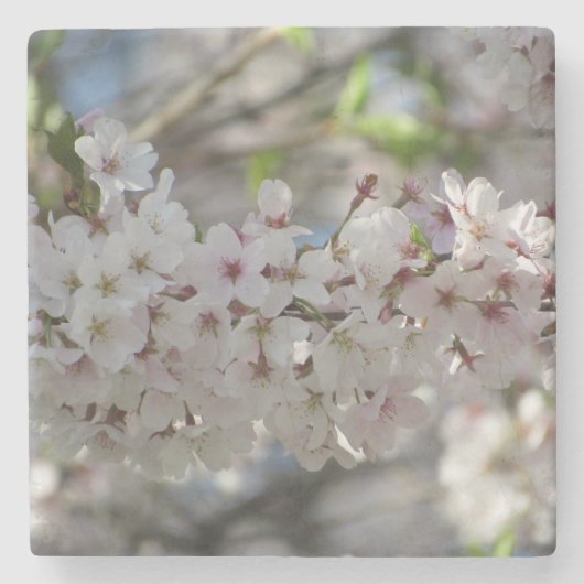 Dessous-de-verre En Pierre Floral (Devant)