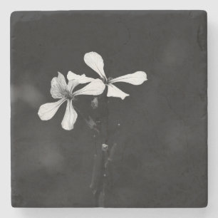Dessous-de-verre En Pierre floral noir et blanc minimaliste