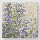 Dessous-de-verre En Pierre Floral pourpre subalpine Lupine (Devant)