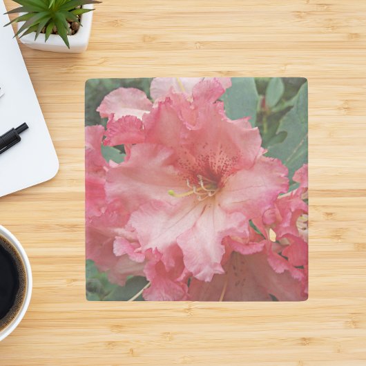 Dessous-de-verre En Pierre Floral rose Rhododendron